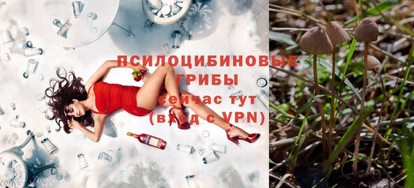 соль курить ск Нестеровская
