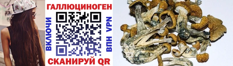 Псилоцибиновые грибы мухоморы где купить наркотик Дивногорск