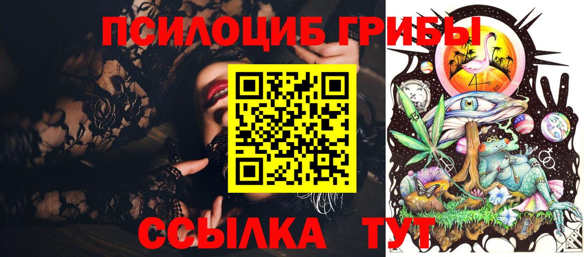 Дивногорск  Галлюциногенные грибы мицелий  где купить   Вход с VPN  Псилоцибиновые грибы Psilocybine cubensis 